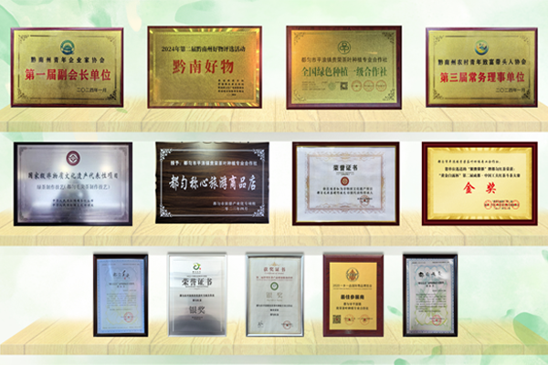获奖证书展示
